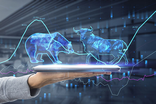 Challenges in Holding a Direct Equity Portfolio